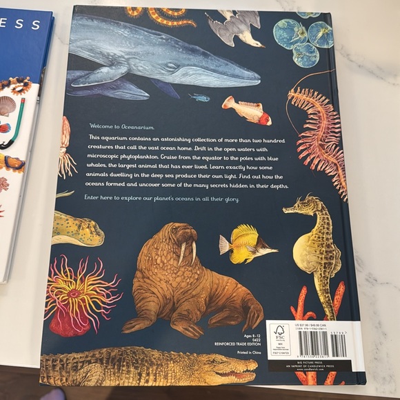 Ocean Books Kids Hardback - Picture 4 of 5